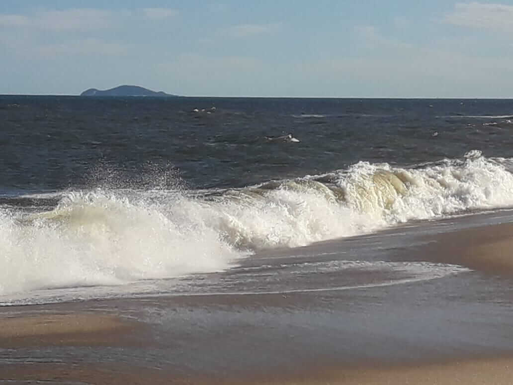 Sobre o que me faz feliz (e também saudade)